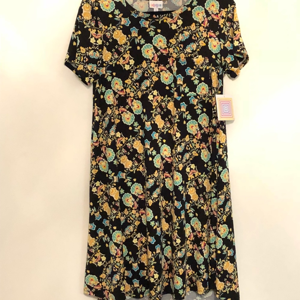 Lularoe carly